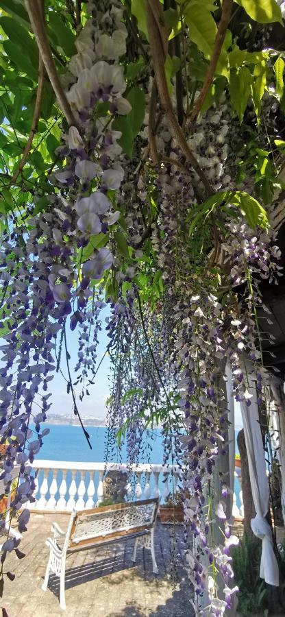Summer Paradise Procida Exterior foto