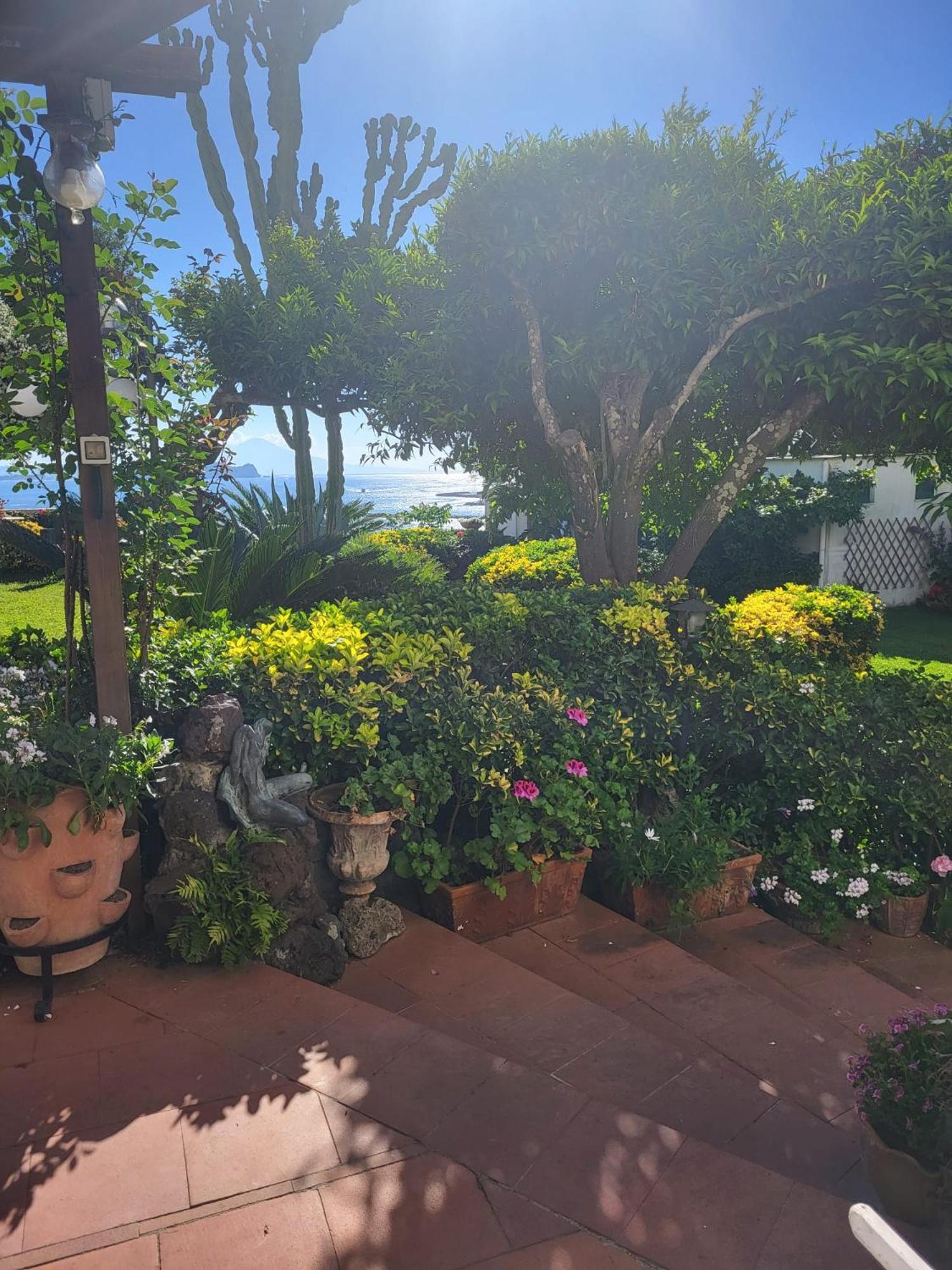 Summer Paradise Procida Exterior foto