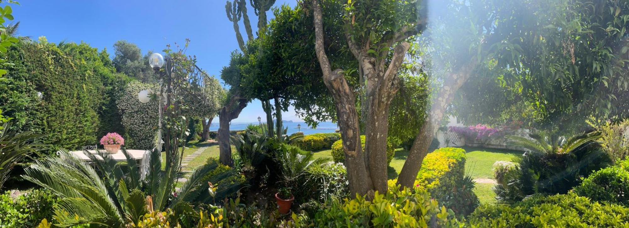 Summer Paradise Procida Exterior foto