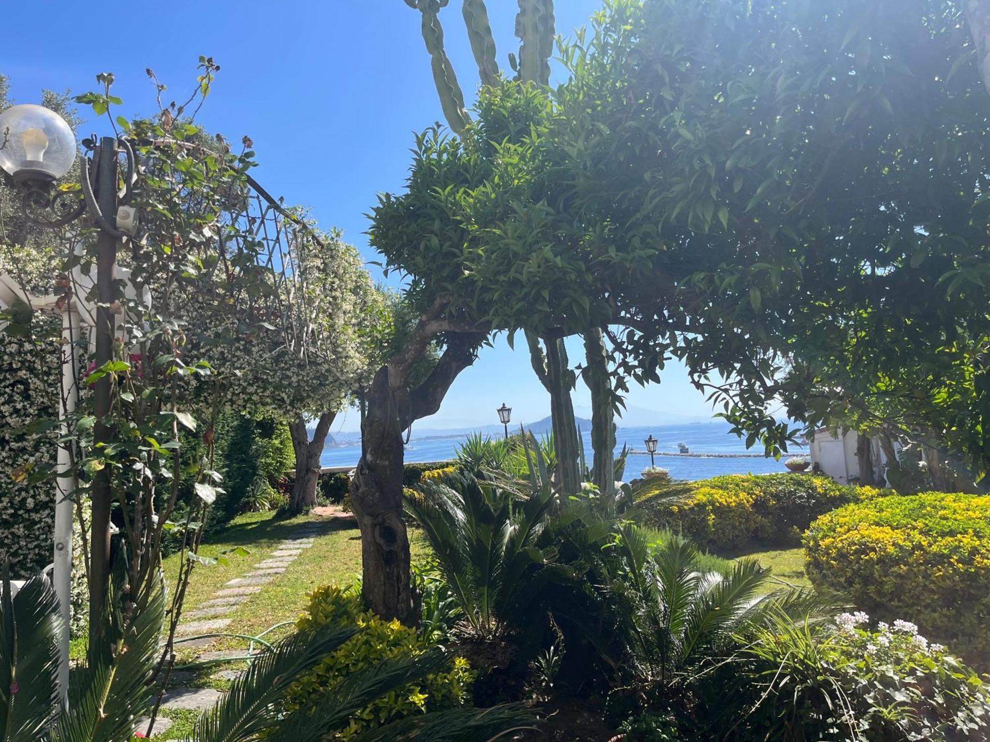 Summer Paradise Procida Exterior foto
